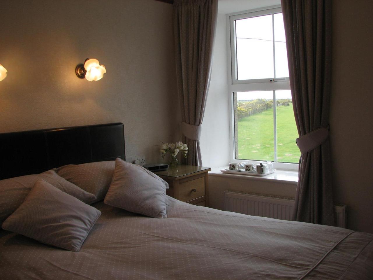 Gwrach Ynys Country Guest House Harlech Zewnętrze zdjęcie